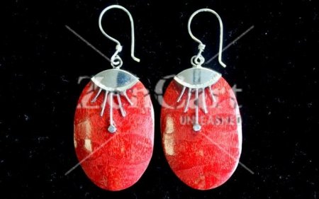 (image for) 925 Silver Earrings - Oval Décor