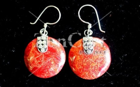 (image for) 925 Silver Earrings - Disc Disc Décor