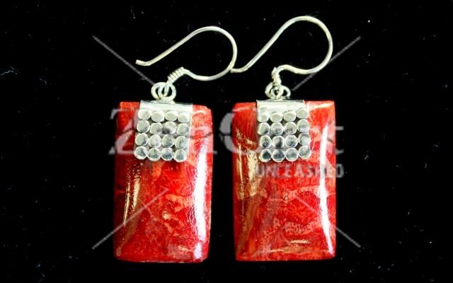 (image for) 925 Silver Earrings - SQ Mini Discs