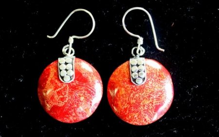 (image for) 925 Silver Earrings - Disc Disc Décor